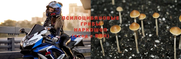 ALPHA-PVP Богородицк