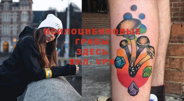 ГАЛЛЮЦИНОГЕННЫЕ ГРИБЫ Богородск